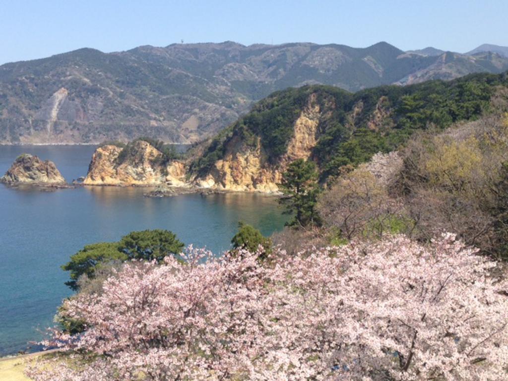 Dogashima Onsen Hotel Nishiizu Exteriör bild